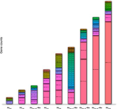 Carbapenemase genes distribution in clonal lineages of Acinetobacter baumannii: a comprehensive study on plasmids and chromosomes